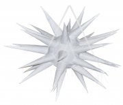 Stachelstern